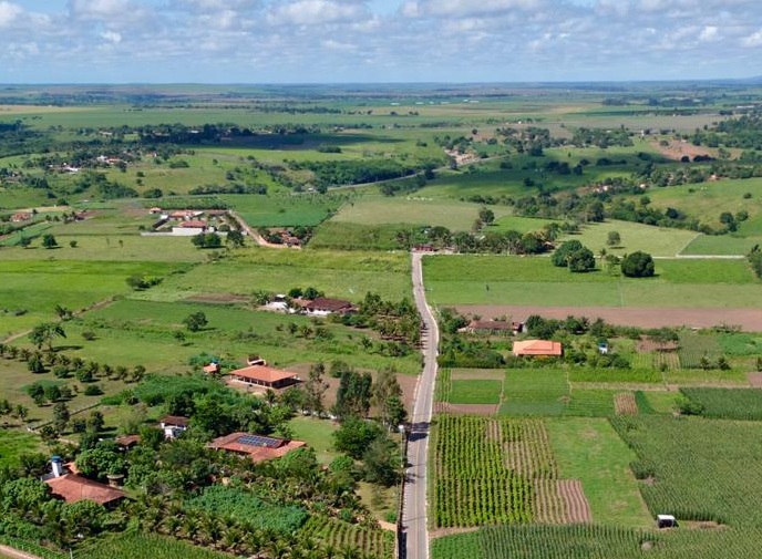 Estrada asfaltada corta área rural com plantações, árvores e casas dispersas