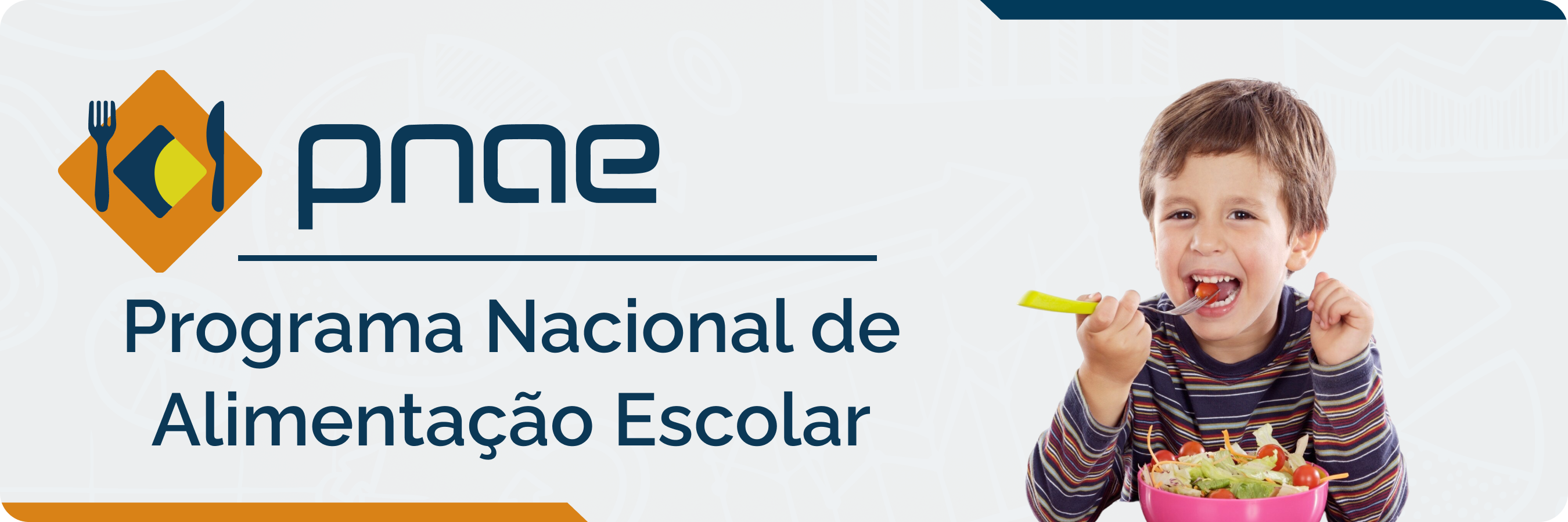 Banner acesso PNAE