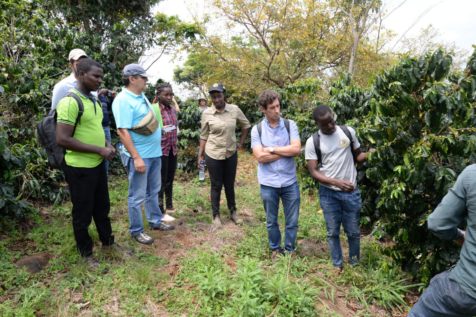 Tricafé Project3.jpeg