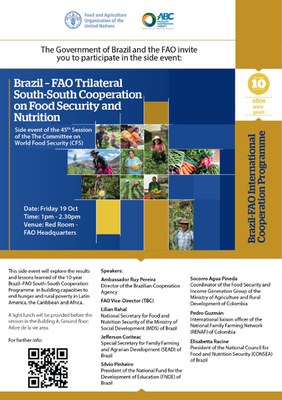fao-trilateral-south.jpeg