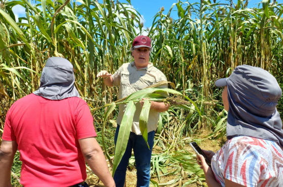 Brazilian technology boosts agriculture in Bolivia.png
