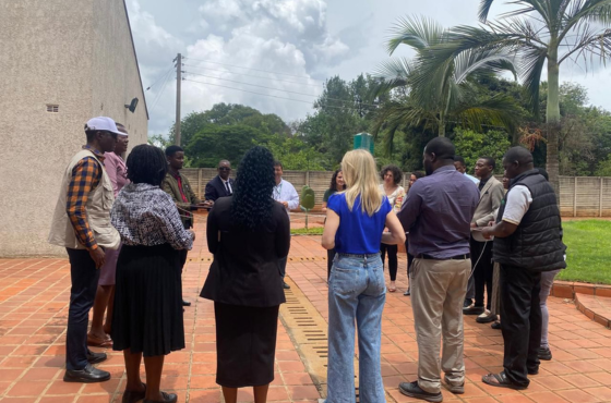 Brasil avanza en la cooperación para fortalecer la cotonicultura familiar en Zambia y Zimbabue 03.png