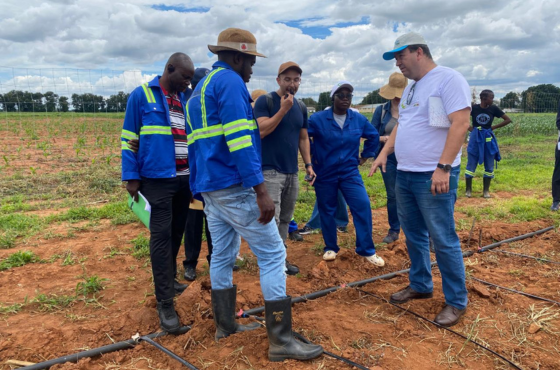 Brasil avanza en la cooperación para fortalecer la cotonicultura familiar en Zambia y Zimbabue.png