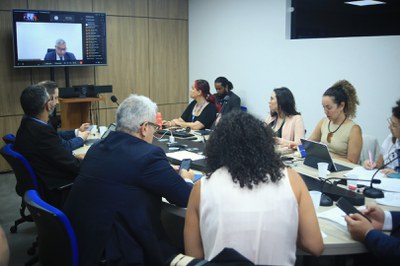 Primera reunión del Grupo de Trabajo sobre Gestión de Riesgos y Desastres de los BRICS  2.jpeg