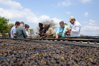 Cooperación Brasil-Portugal-Mozambique: el café de la sierra de Gorongosa conquista el mundo