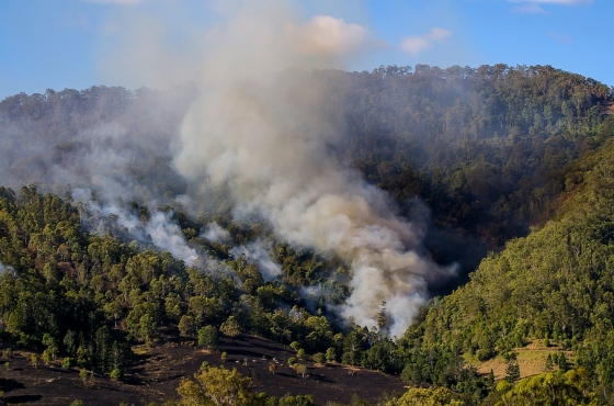 Incendios forestales Brasil envía ayuda humanitaria a Ecuador.jpeg