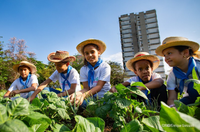 La alimentación escolar es el tema de la V Convención Internacional Cuba Salud 2025