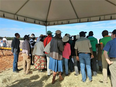 33 africanos participam de curso de aperfeiçoamento em cultura do algodão no Brasil 4.JPEG