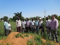 ABC e Embrapa unem forças para missão de Cooperação Brasileira em Burundi, Quênia, Unganda e Tanzania.