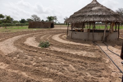 ABC envia missão de avaliação do Projeto PAIS ao Senegal 10.JPEG