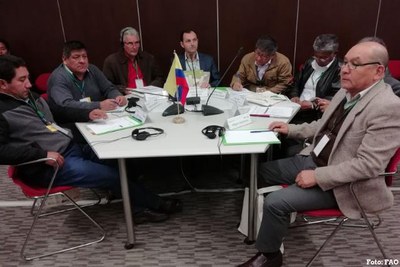 FAO e OIT organizam evento sobre sustentabilidade na produção do algodão 1.JPEG