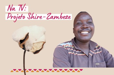 Projeto Cotton Shire-Zambeze