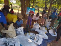 Além do Algodão: agricultores moçambicanos recebem treinamento para evitar perdas pós-colheita