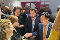 Algodão latino-americano é um dos destaques da exposição global "Das Sementes aos Alimentos”