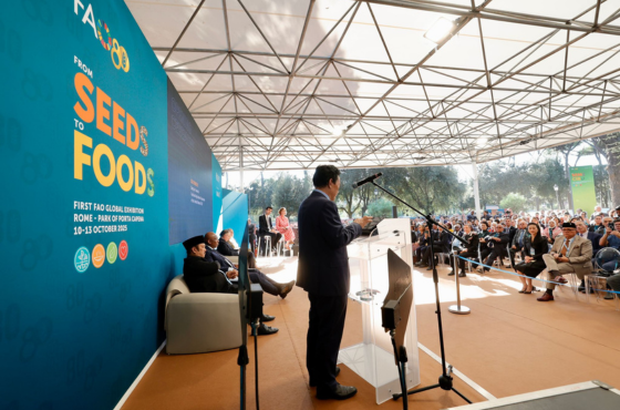 Algodão latino-americano é um dos destaques da Exposição Global "Das Sementes aos Alimentos"