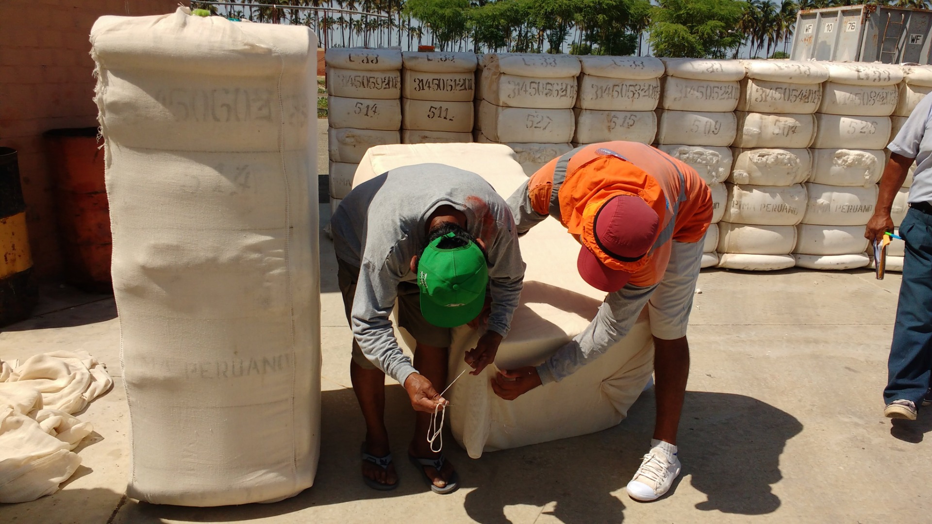 Algodão peruano participa de iniciativa pioneira para rastreabilidade da cadeia algodoeira 1.JPEG