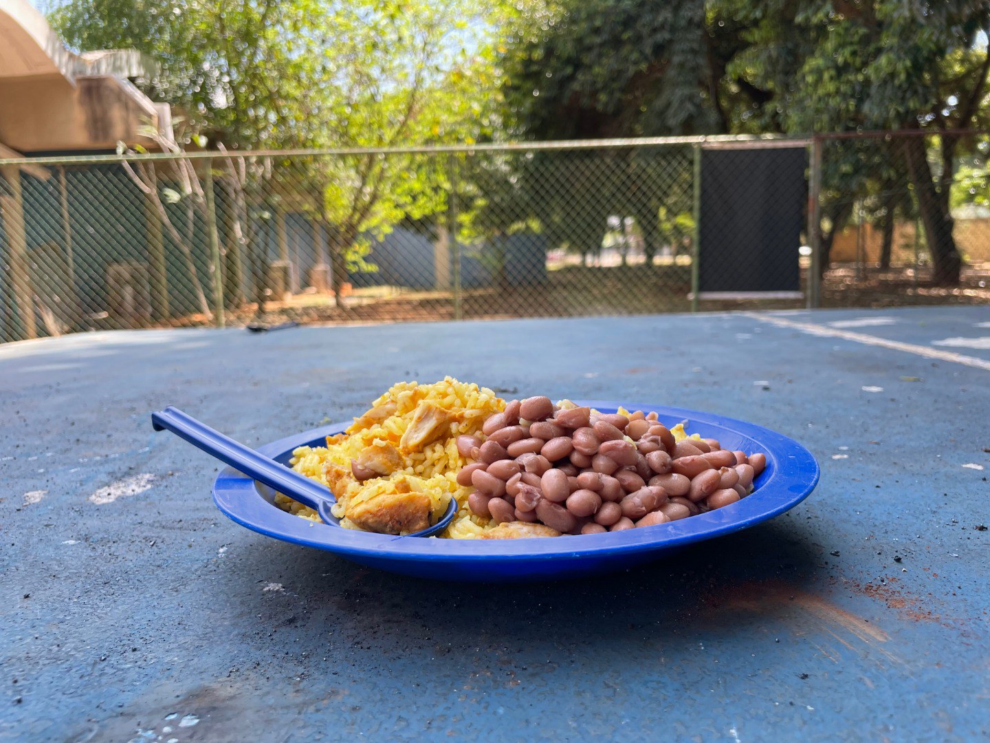 1ª visita virtual ao Brasil sobre alimentação escolar.jpeg