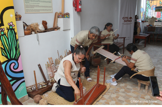 Artesãs do Brasil participam II Festival Internacional de Artesanatos