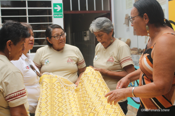 Artesãs do Brasil participam II Festival Internacional de Artesanatos