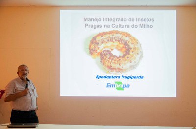 Brasil apoia a África no combate à lagarta do cartucho 2.JPEG