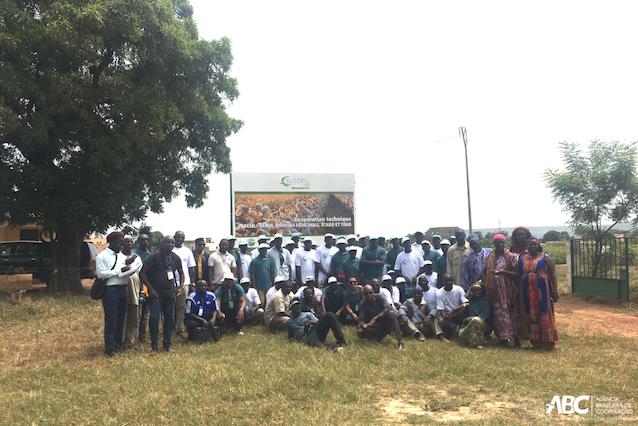 Brasil apoia intercâmbio de experiências entre países africanos produtores de algodão 1.JPEG