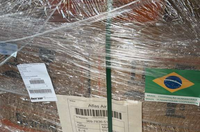 Brasil apoia o Suriname no controle do virus chikungunya