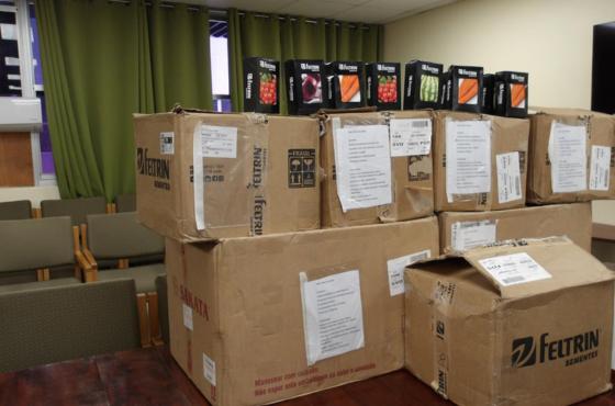 Brasil doa 6 milhões desementes para impulsionar agricultura de São Vicente e Granadinas