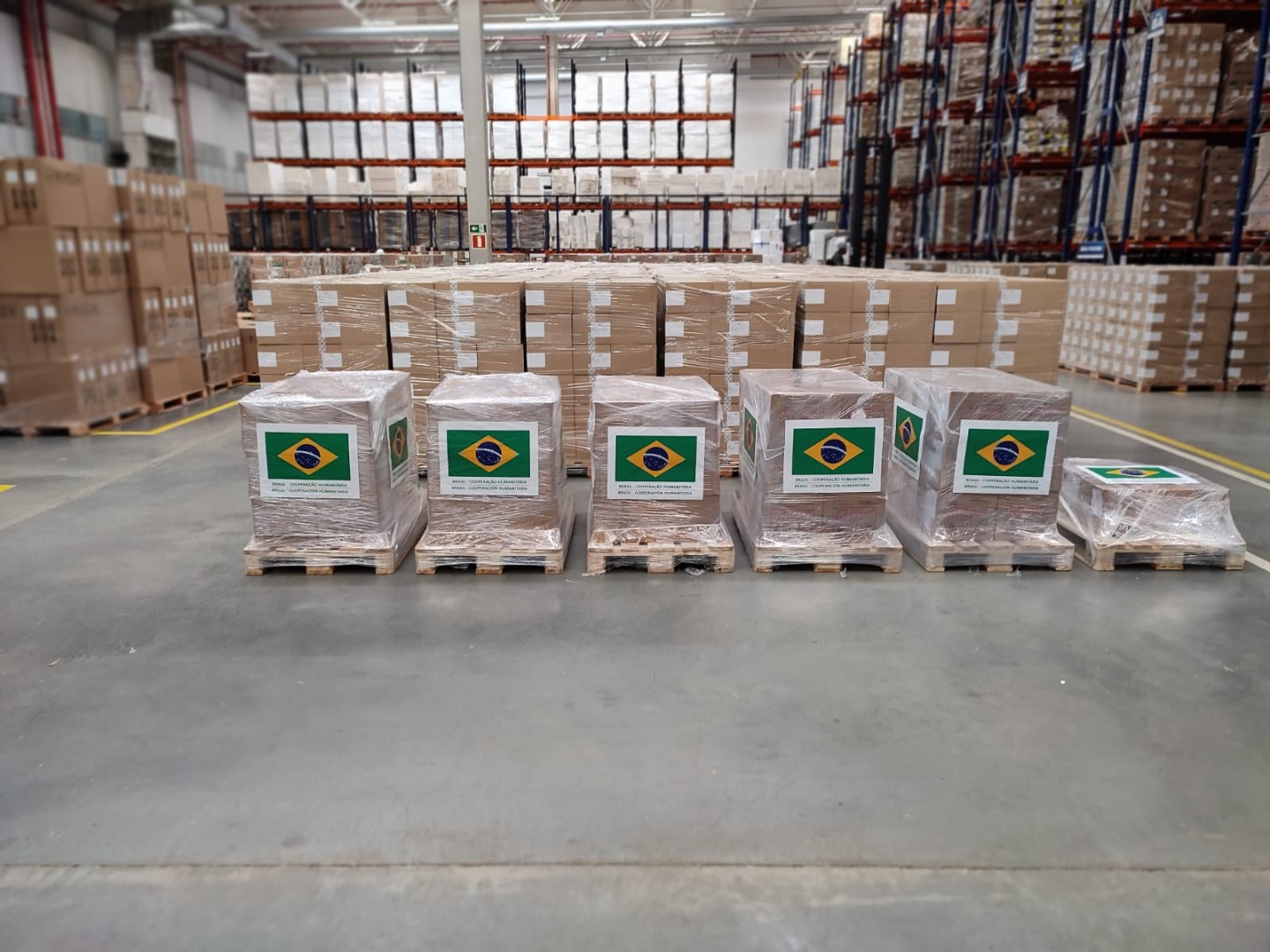 Vacina Triplice Viral_015.jpeg