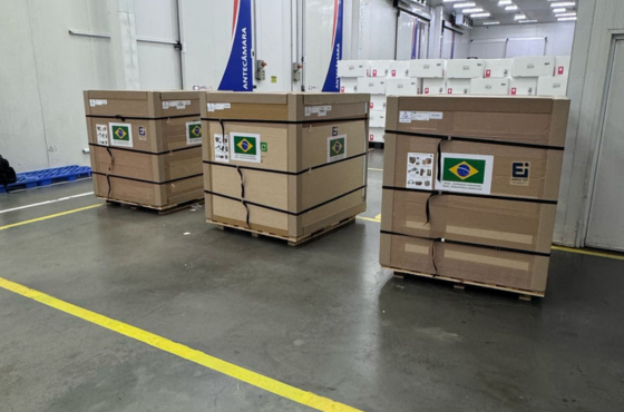 Brasil doa ao Cameroun vacina contra a poliomielite.png