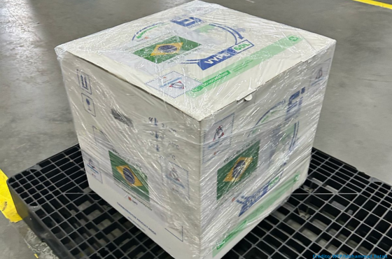 Brasil doa vacinas contra a Poliomielite a Santa Lúcia.png