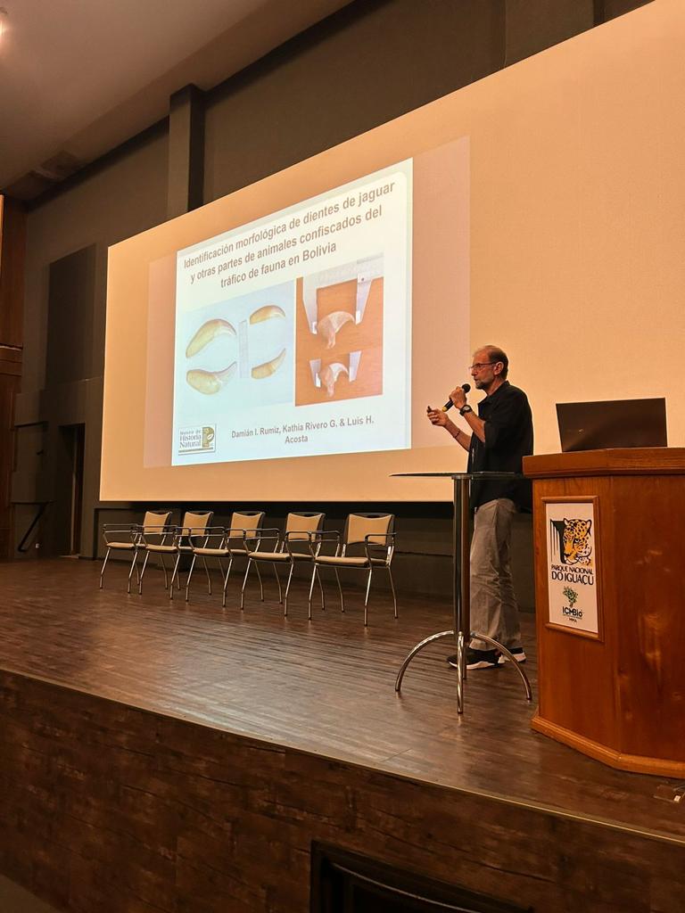 Combate ao Tráfico Ilegal da Onça-Pintada_009.jpeg