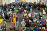 Brasil e FAO fortalecem agenda de sistemas agroalimentares urbanos na América Latina e no Caribe