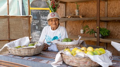Brasil e FAO lançam novo projeto de cooperação regional sobre sistemas agroalimentares urbanos na América Latina