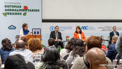 Brasil e FAO lançam novo projeto de cooperação regional sobre sistemas agroalimentares urbanos na América Latinag