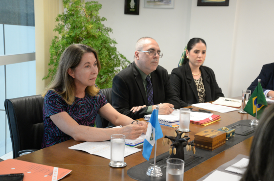 Brasil e Guatemala reafirmam aliança em prol do desenvolvimento sustentáve