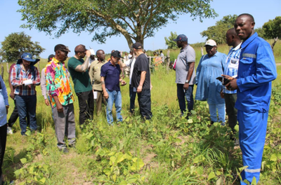 Brasil e Guiné fortalecem cooperação em produção bovina e melhoramento genético