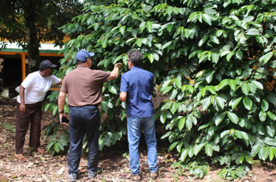 Brasil e Guiné fortalecem cooperação em produção bovina e melhoramento genético