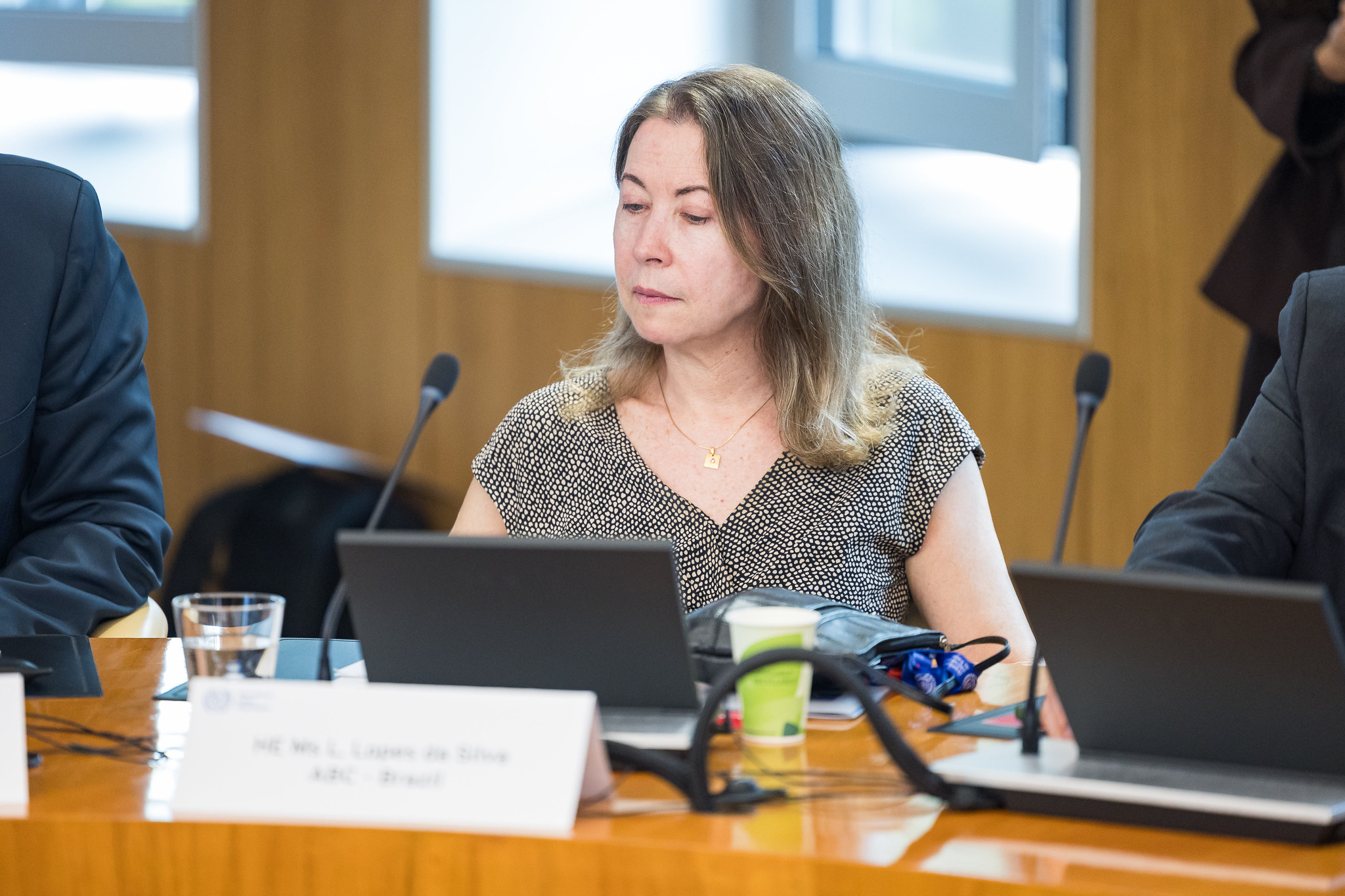 Embaixadora Luiza Lopes da Silva, Diretora Adjunta da ABC