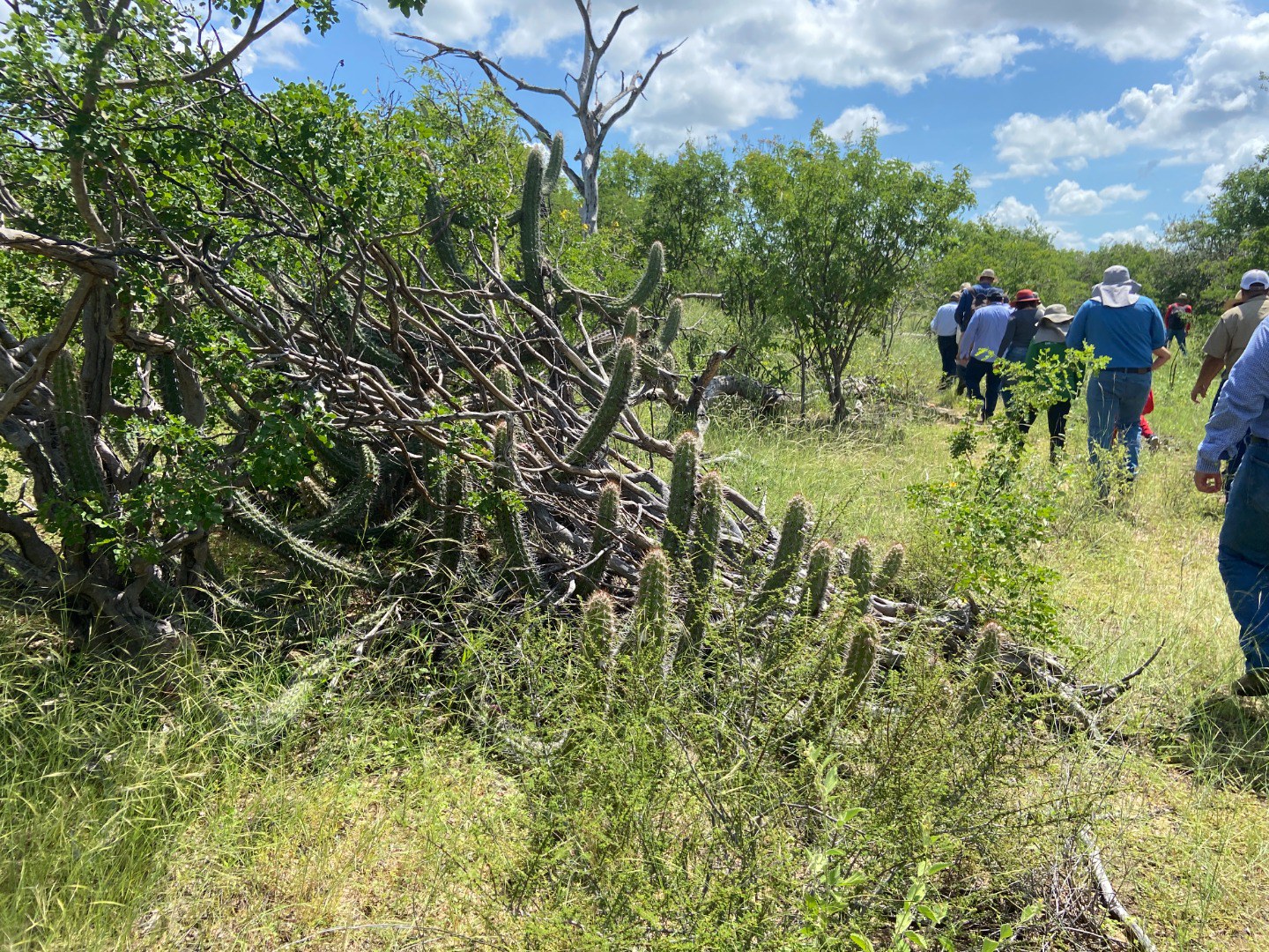 Projeto Corredor Seco - Missão Brasil_Día de campo 2 (37).JPG