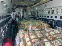 Brasil envia 11 toneladas de alimentos à população palestina em Gaza