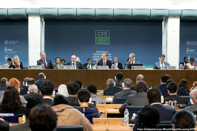 Brasil participa de Comitê Mundial de Segurança Alimentar em Roma 1.JPEG