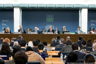 Brasil participa de Comitê Mundial de Segurança Alimentar em Roma 1.JPEG