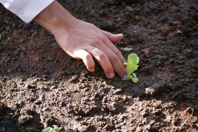 Brasil participa de consultas para a construção conjunta de indicadores para políticas agroambientais.JPEG