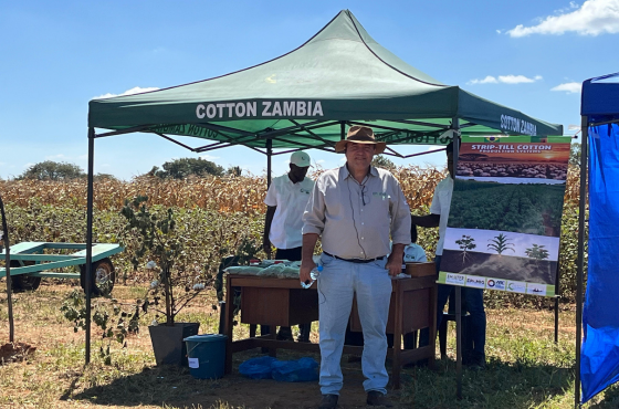 Projeto Cotton Zambia