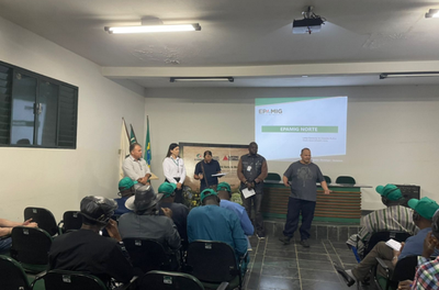 Brasil recebe especialistas do Mali em missão para intercâmbio de experiências na cadeia do algodão