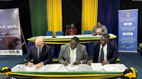 Brasil, Tanzânia e OIT aprovam projeto para promoção do trabalho decente na cadeia de valor do algodão no país africano