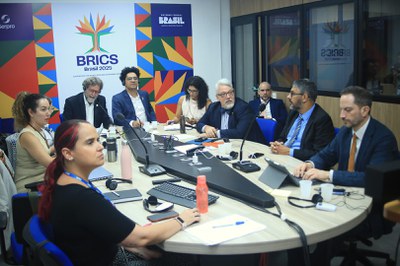 Primeira reunião sobre Gestão de Riscos e Desastres do BRICS (39).JPG