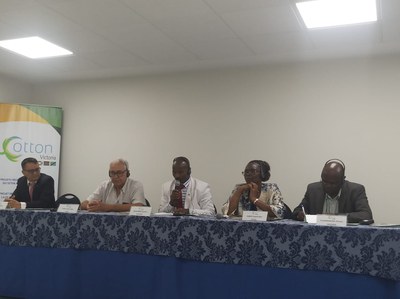 Burundi, Quênia e Tanzânia conhecem técnicas de cotonicultura em Minas Gerais.JPEG