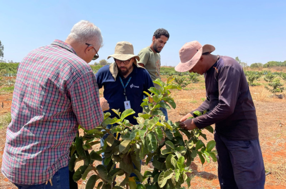 Cooperação Brasil-Colômbia fortalece compras públicas de alimentos e apoio à agricultura familiar