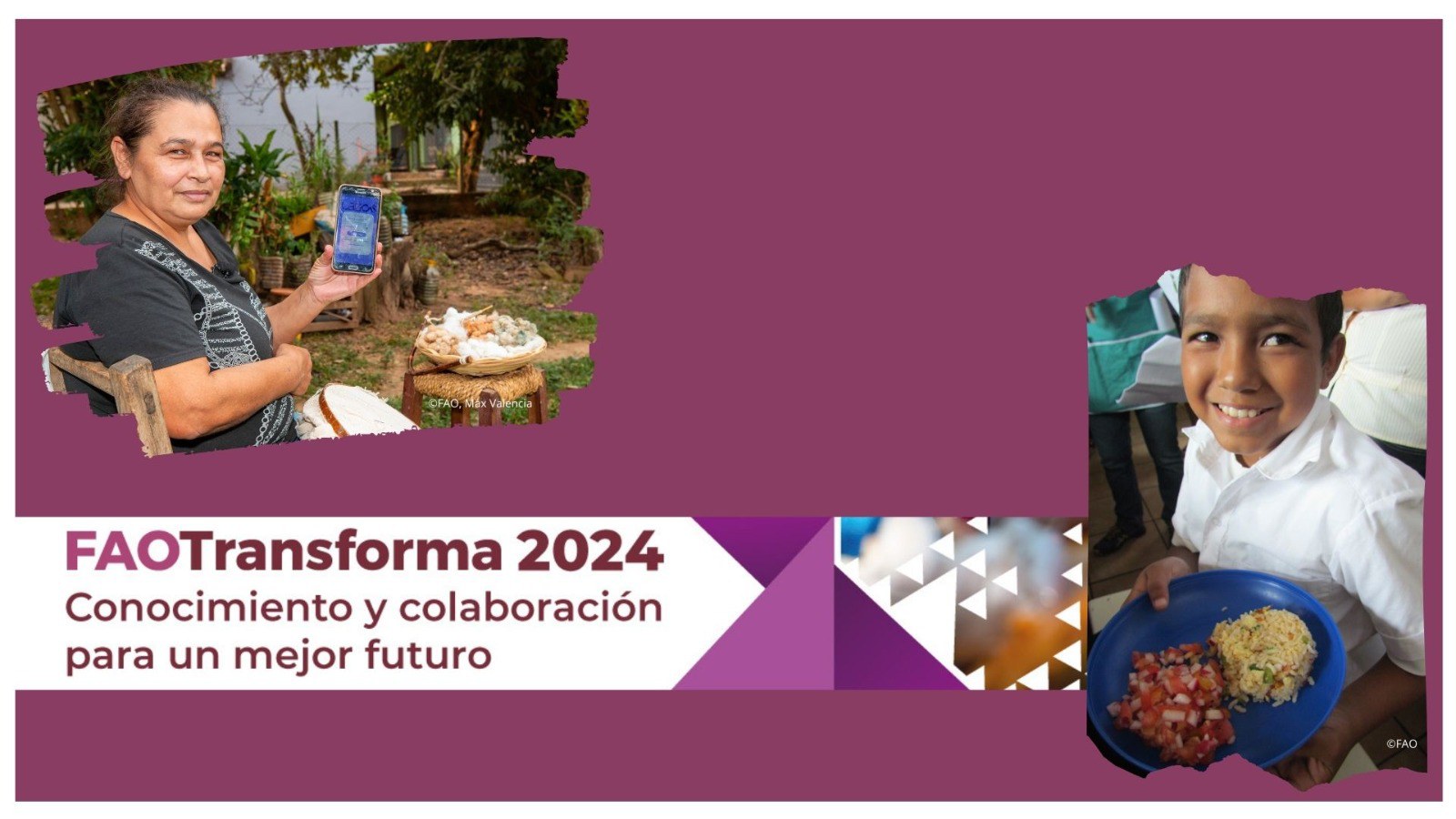 Cooperação Brasil-FAO apresenta iniciativas na feira FAO Transforma